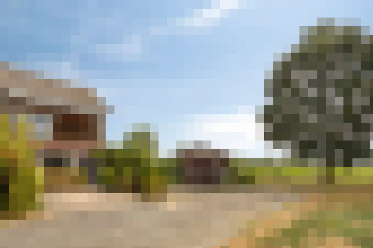 de Lingert 5821 Wijchen thumbnail 35