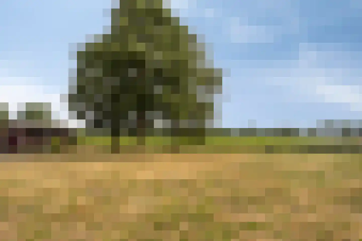 de Lingert 5821 Wijchen thumbnail 36