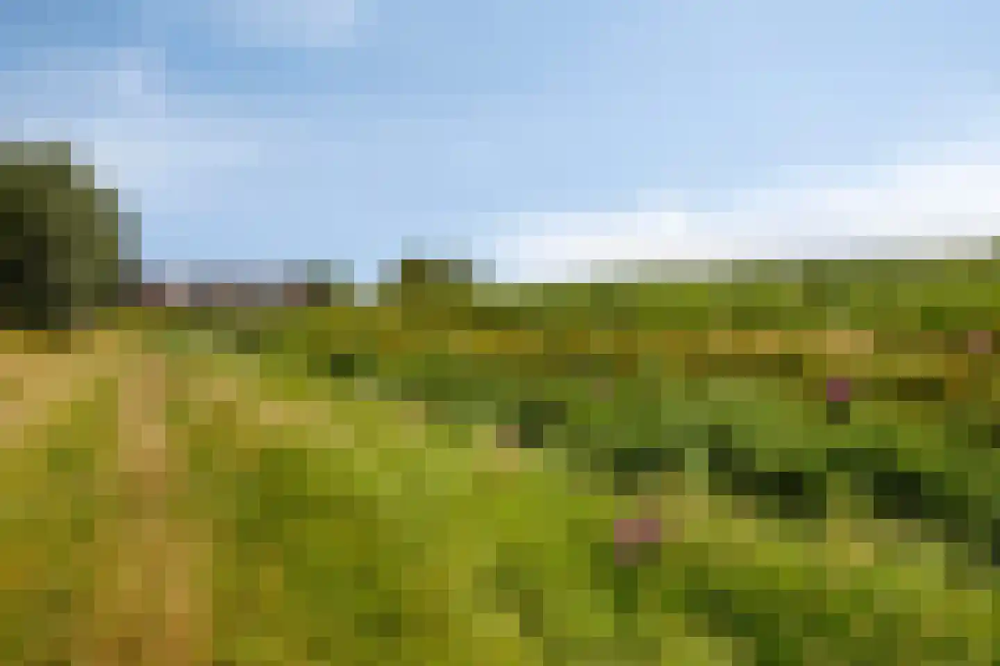 de Lingert 5821 Wijchen thumbnail 37