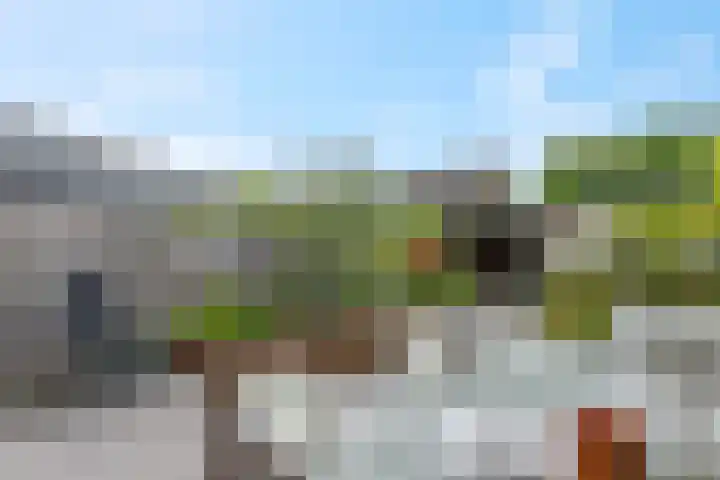 de Lingert 6009 Wijchen thumbnail 6