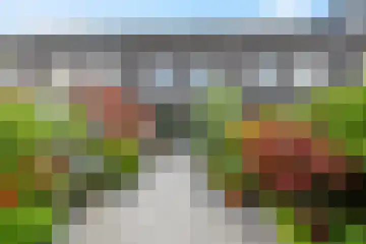 de Lingert 6009 Wijchen thumbnail 7