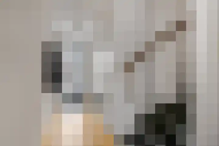 de Lingert 6009 Wijchen thumbnail 8
