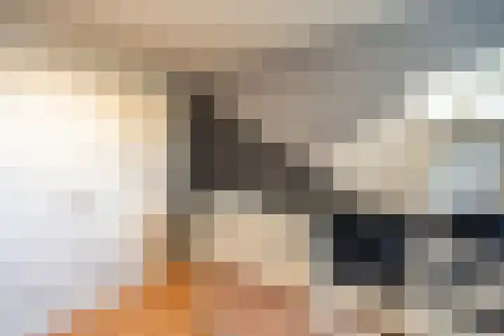 de Lingert 6015 Wijchen thumbnail 17