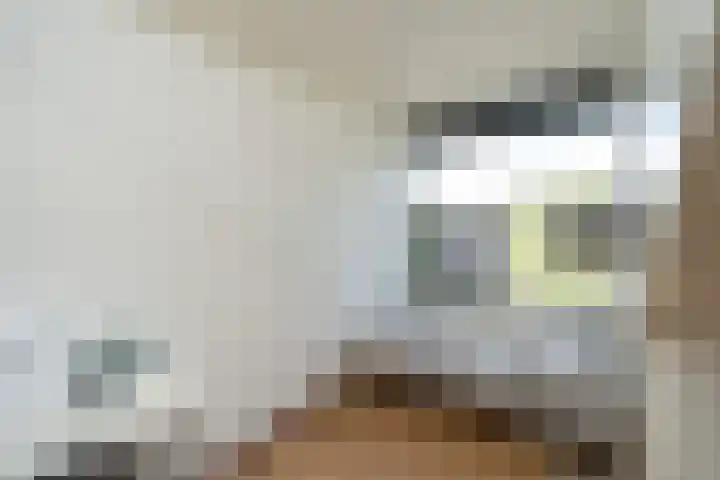 de Lingert 6015 Wijchen thumbnail 24