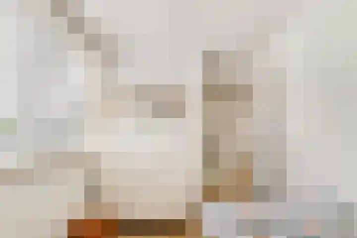 de Lingert 6015 Wijchen thumbnail 25