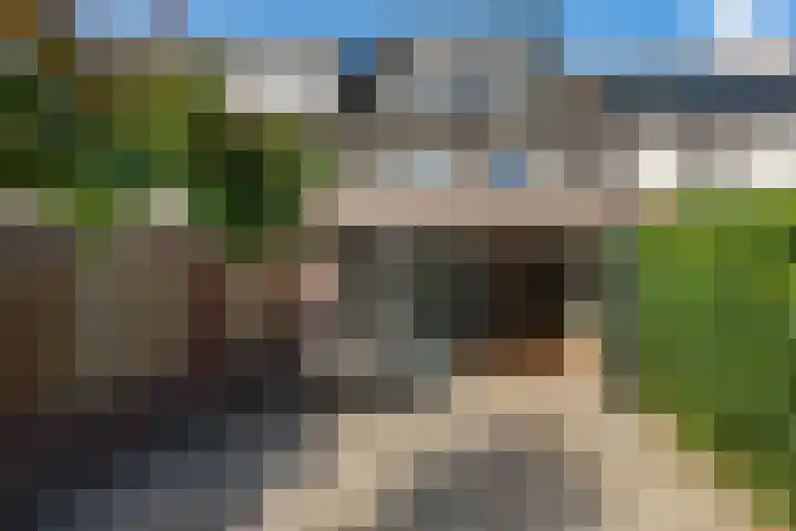 de Lingert 6015 Wijchen thumbnail 32