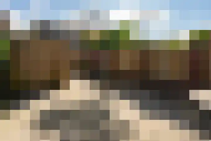de Lingert 6015 Wijchen thumbnail 34