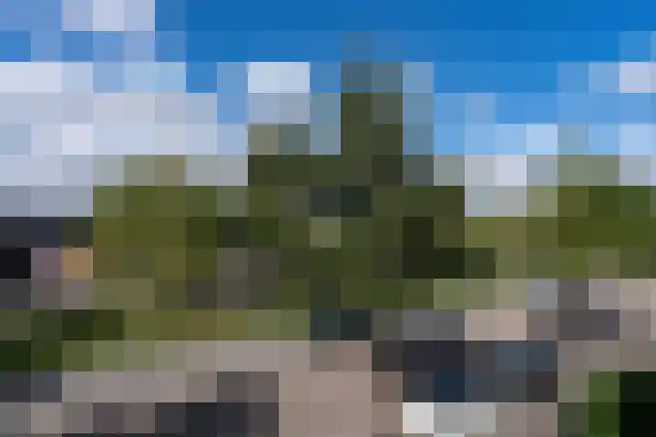 de Lingert 6015 Wijchen thumbnail 36