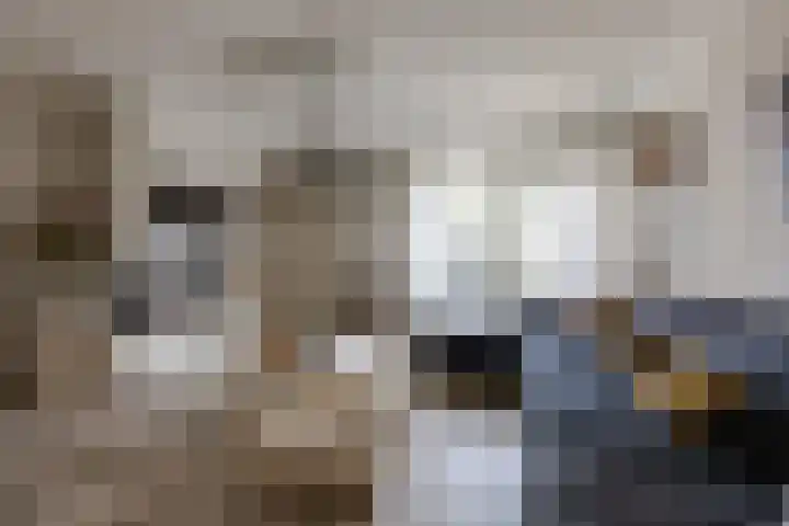de Lingert 6015 Wijchen thumbnail 38