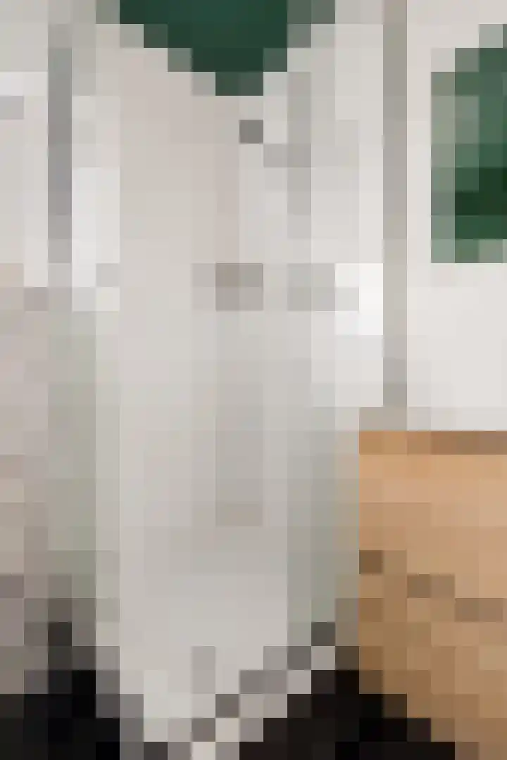 de Lingert 6015 Wijchen thumbnail 40