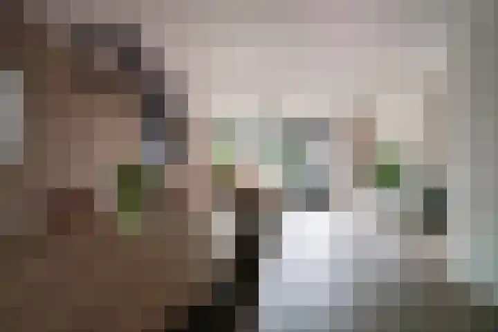 de Lingert 6025 Wijchen thumbnail 13