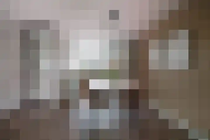 de Lingert 6025 Wijchen thumbnail 15