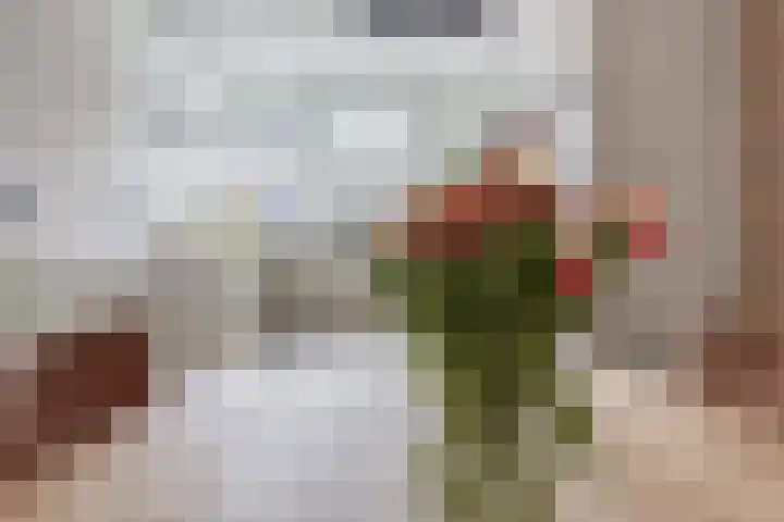 de Lingert 6025 Wijchen thumbnail 23