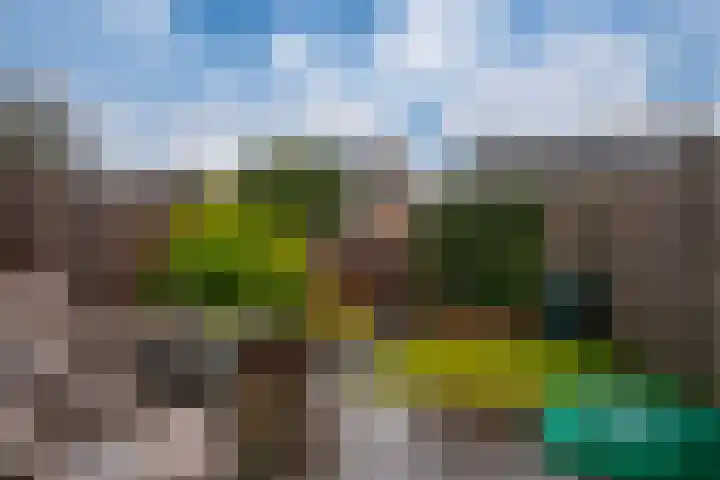 de Lingert 6025 Wijchen thumbnail 24