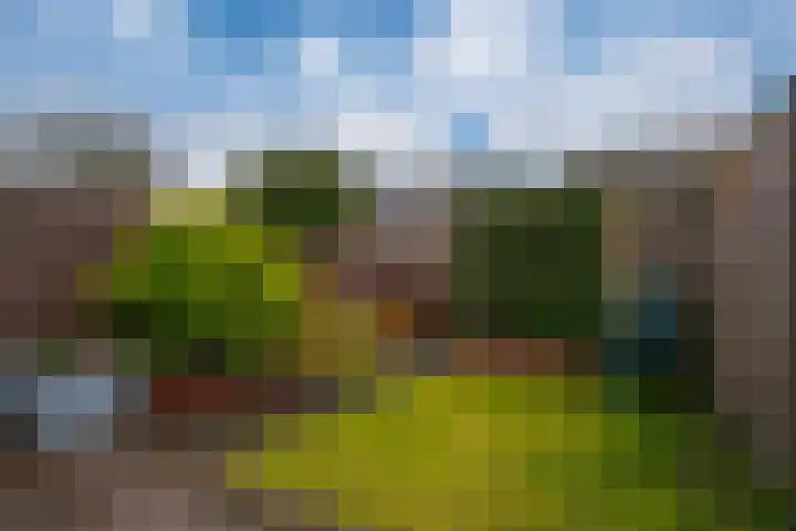 de Lingert 6025 Wijchen thumbnail 25