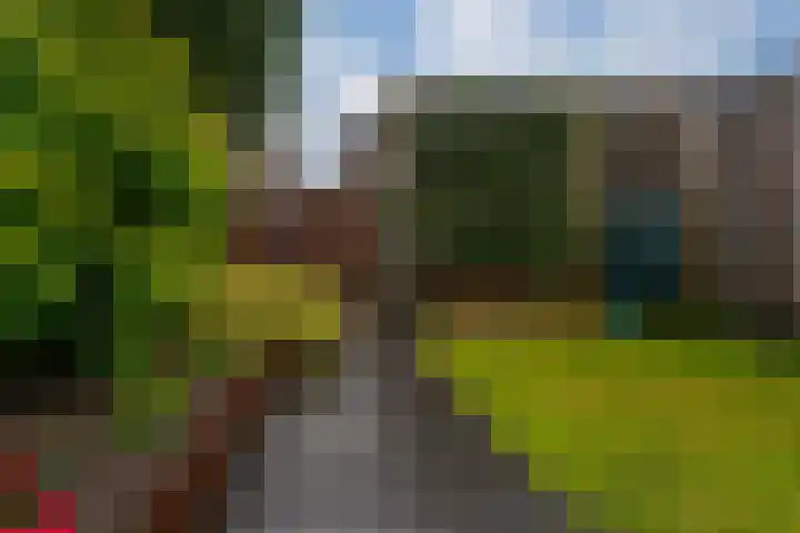 de Lingert 6025 Wijchen thumbnail 26