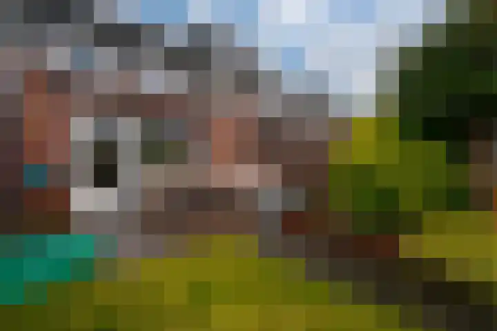 de Lingert 6025 Wijchen thumbnail 27