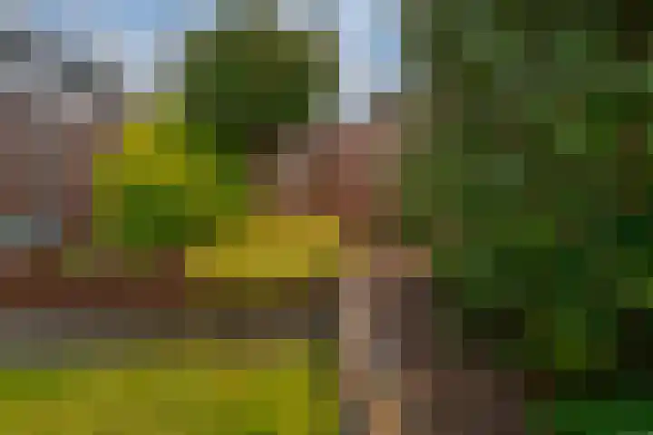 de Lingert 6025 Wijchen thumbnail 28