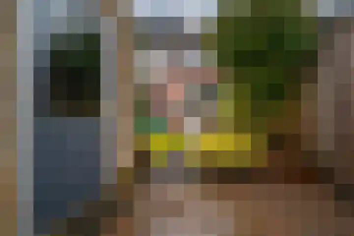 de Lingert 6025 Wijchen thumbnail 29