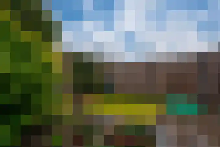 de Lingert 6025 Wijchen thumbnail 32