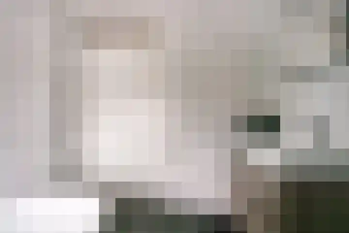 de Lingert 6025 Wijchen thumbnail 36