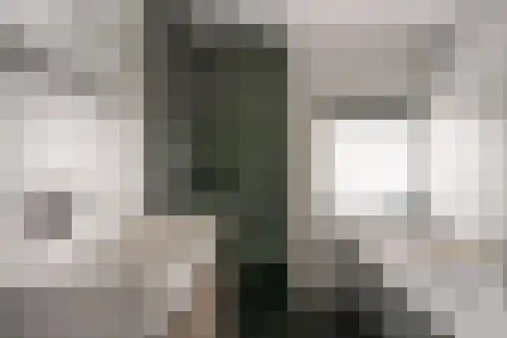 de Lingert 6025 Wijchen thumbnail 38