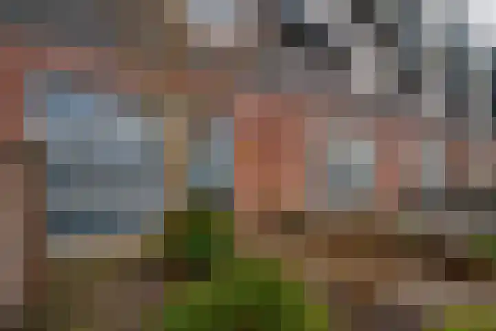 de Lingert 6025 Wijchen thumbnail 4