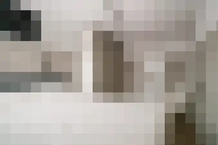 de Lingert 6025 Wijchen thumbnail 41