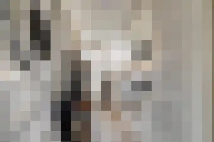 de Lingert 6025 Wijchen thumbnail 42
