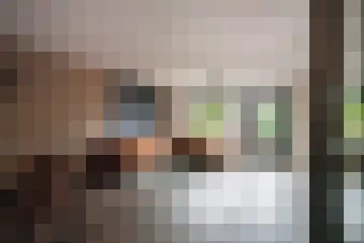 de Lingert 6025 Wijchen thumbnail 6