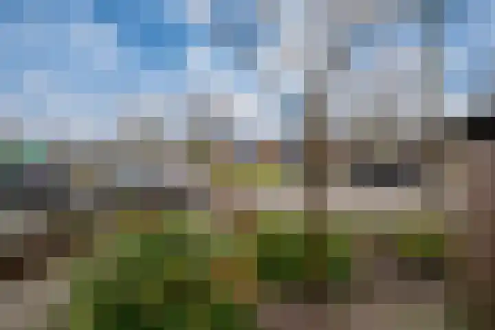 de Lingert 6025 Wijchen thumbnail 60