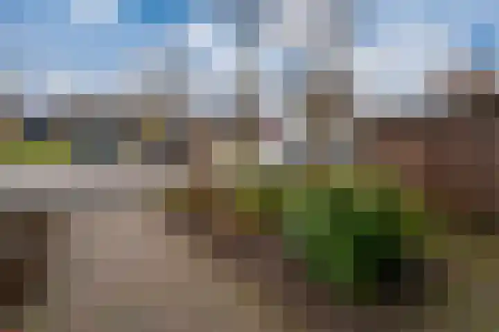 de Lingert 6025 Wijchen thumbnail 61