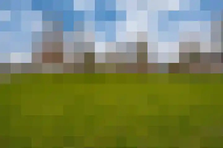 de Lingert 6025 Wijchen thumbnail 64