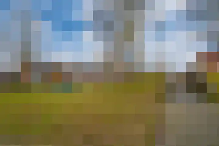 de Lingert 6025 Wijchen thumbnail 66