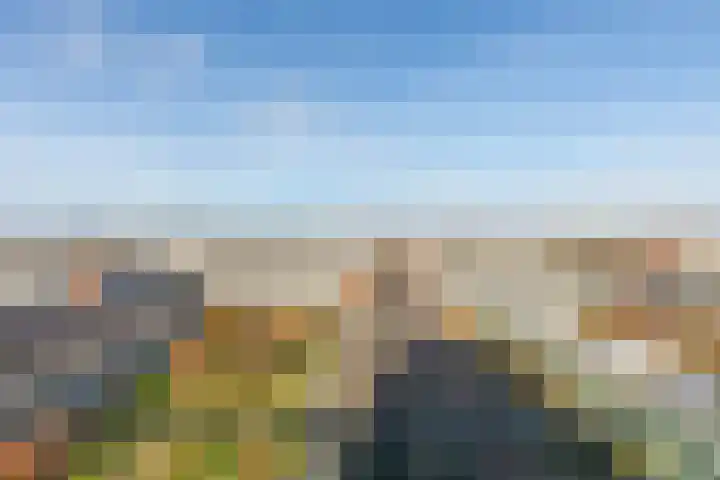 de Lingert 6025 Wijchen thumbnail 71