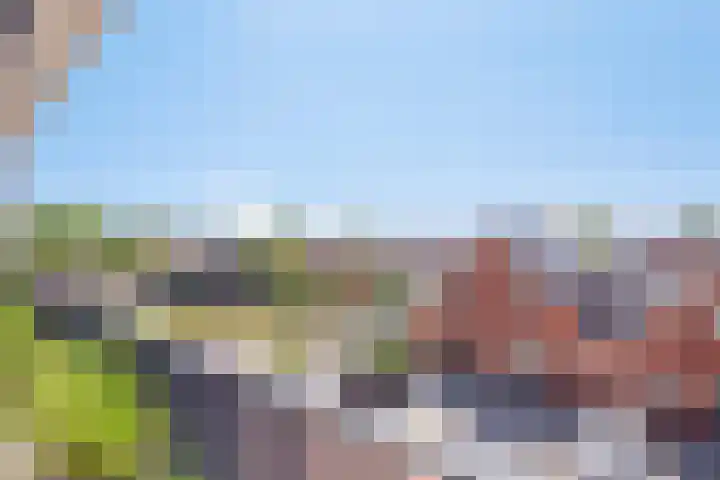 de Lingert 6025 Wijchen thumbnail 74