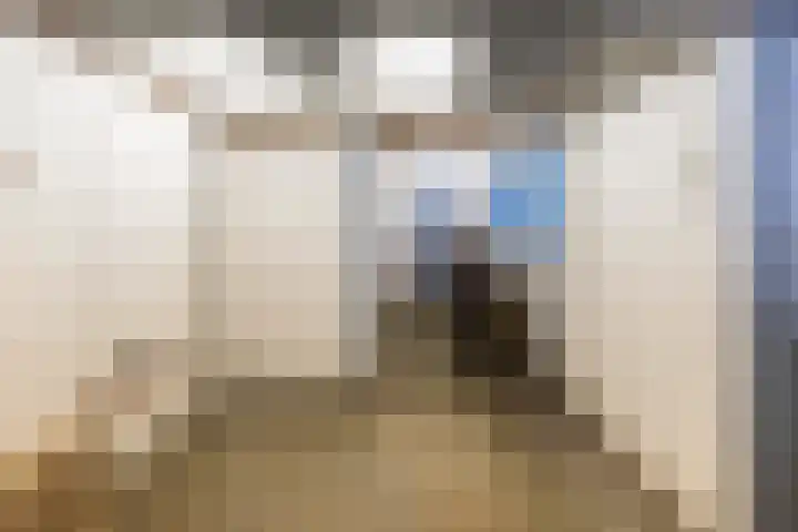 de Lingert 6051 Wijchen thumbnail 18