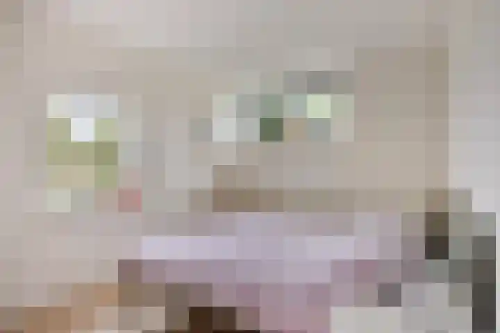 de Lingert 6051 Wijchen thumbnail 19