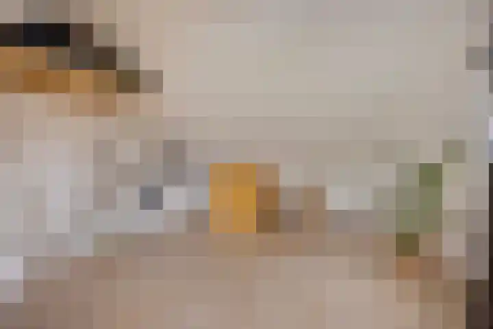 de Lingert 6051 Wijchen thumbnail 30