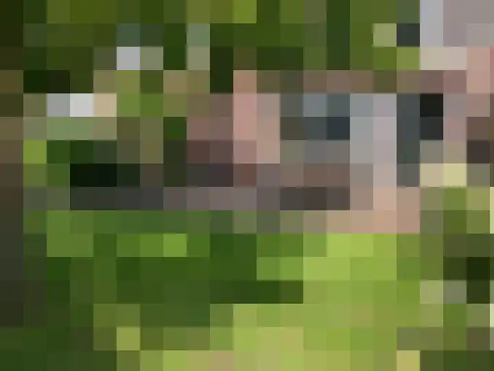 de Lingert 6051 Wijchen thumbnail 32