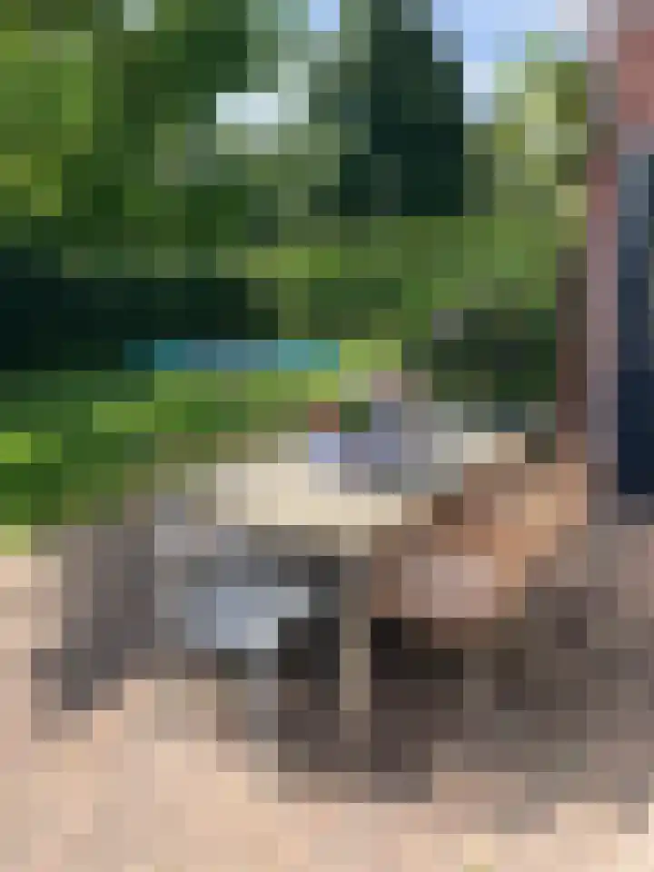 de Lingert 6051 Wijchen thumbnail 34