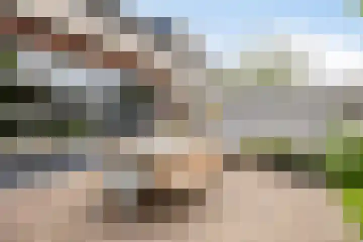 de Lingert 6051 Wijchen thumbnail 35