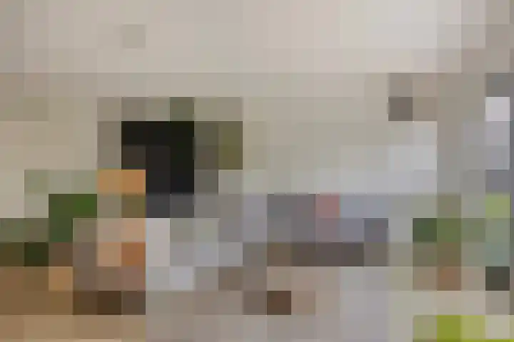 de Lingert 6051 Wijchen thumbnail 5