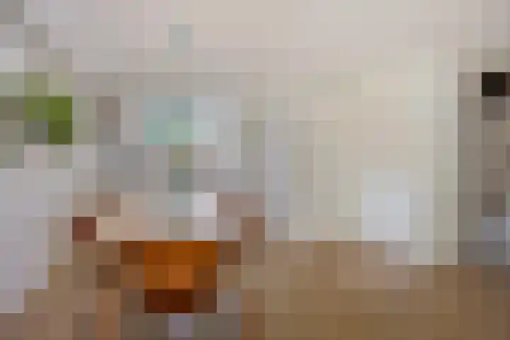 de Lingert 6051 Wijchen thumbnail 9