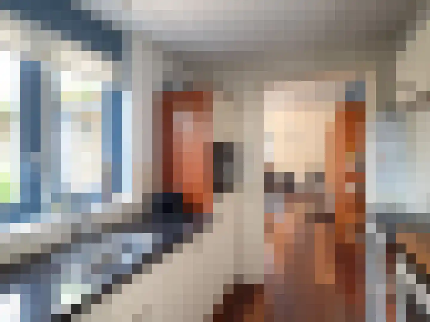 de Lingert 6119 Wijchen thumbnail 6