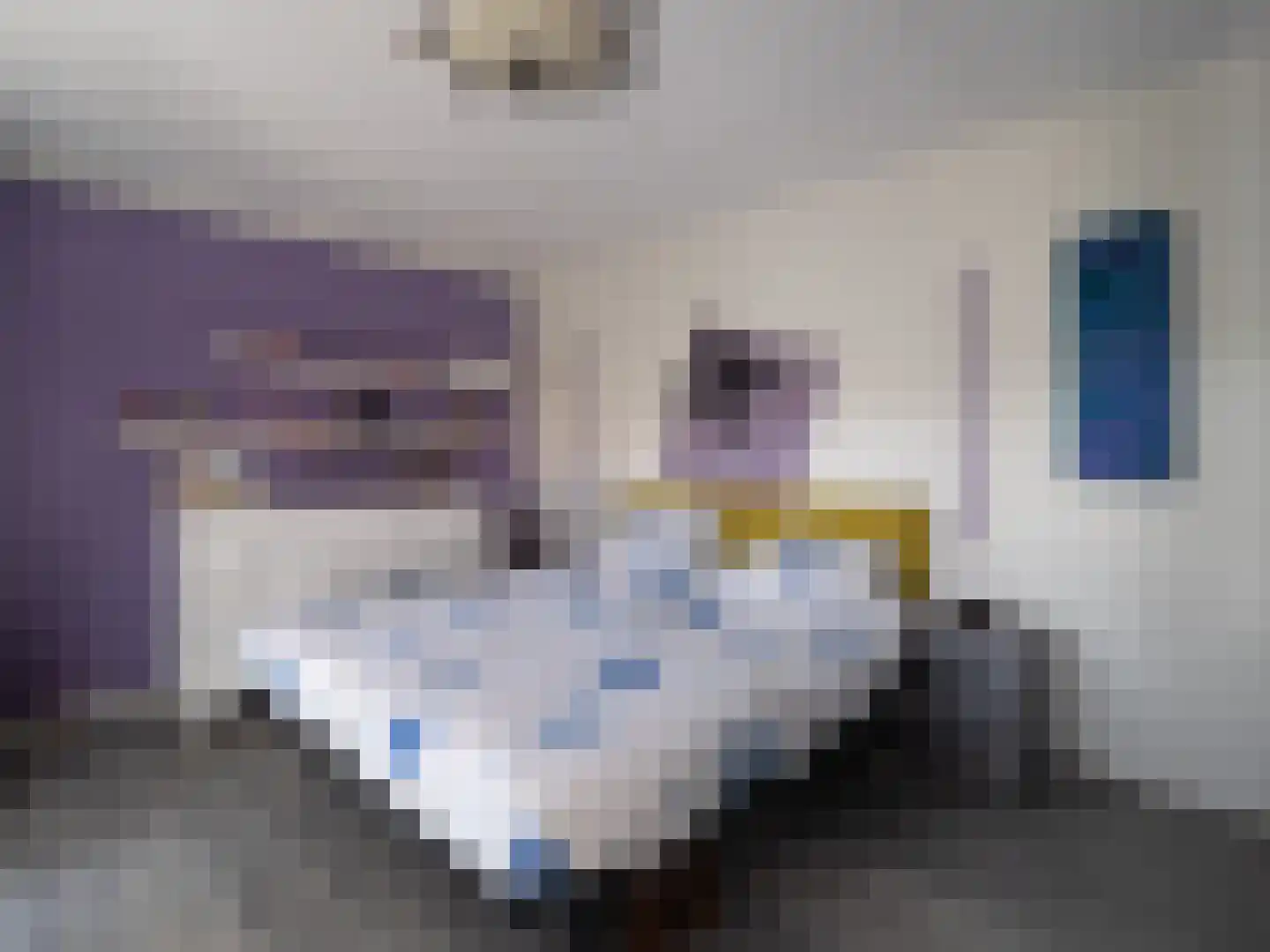 de Lingert 6119 Wijchen thumbnail 8