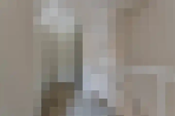 de Lingert 6217 Wijchen thumbnail 10