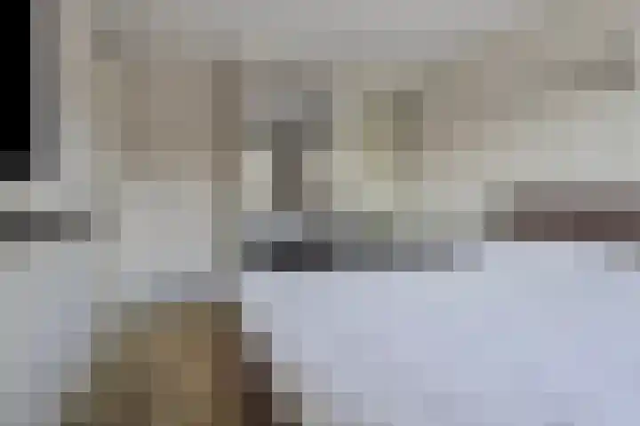 de Lingert 6217 Wijchen thumbnail 12