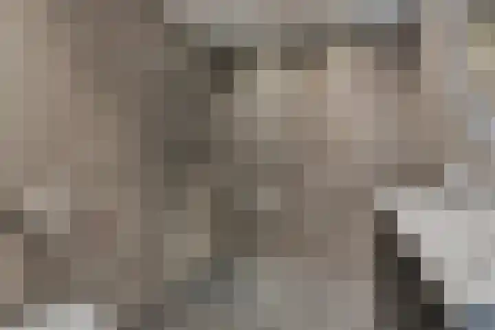 de Lingert 6217 Wijchen thumbnail 13