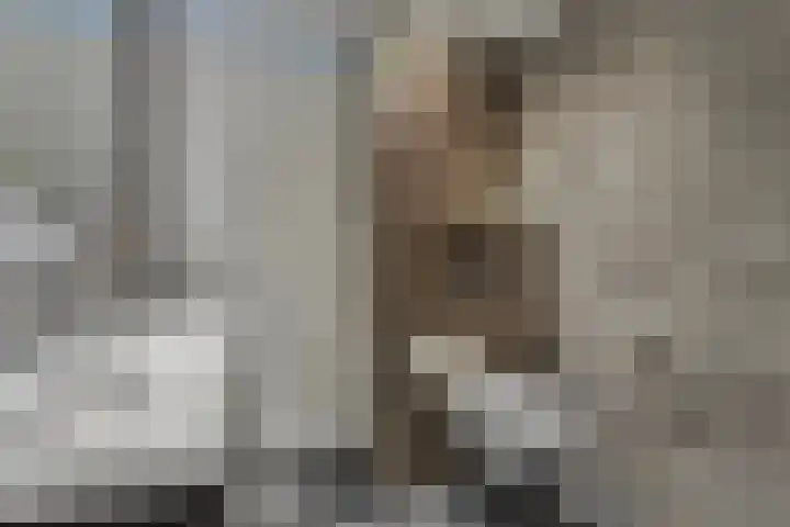 de Lingert 6217 Wijchen thumbnail 14